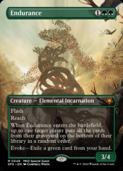 Endurance Special Guests Bordless
